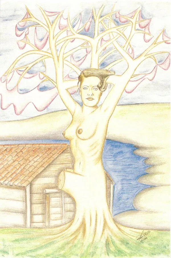Quadro 16